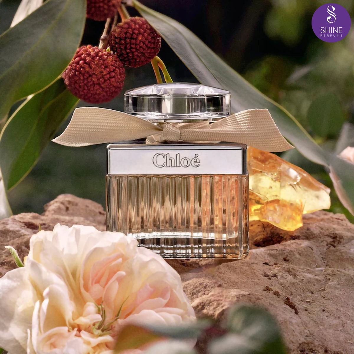 Chloé Eau de Parfum 12